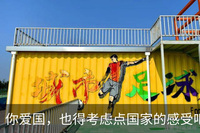 你爱国，也得考虑点国家的感受吧？