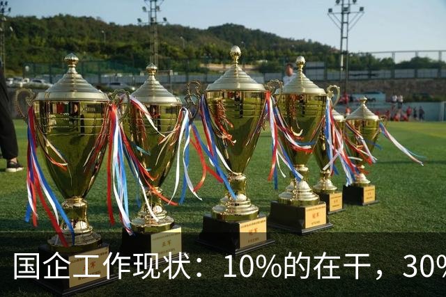 国企工作现状：10%的在干，30%的在看，剩下的人在捣乱！
