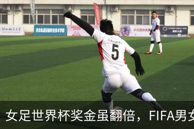 女足世界杯奖金虽翻倍，FIFA男女足同酬承诺仍落空