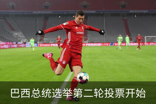 巴西总统选举第二轮投票开始