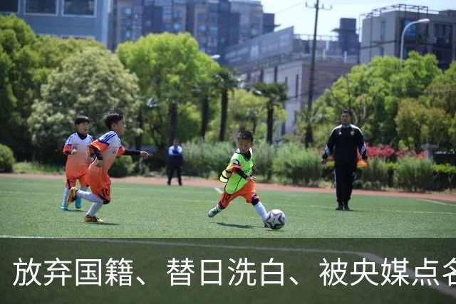 放弃国籍、替日洗白、被央媒点名，七年过去后赵立新下场大快人心