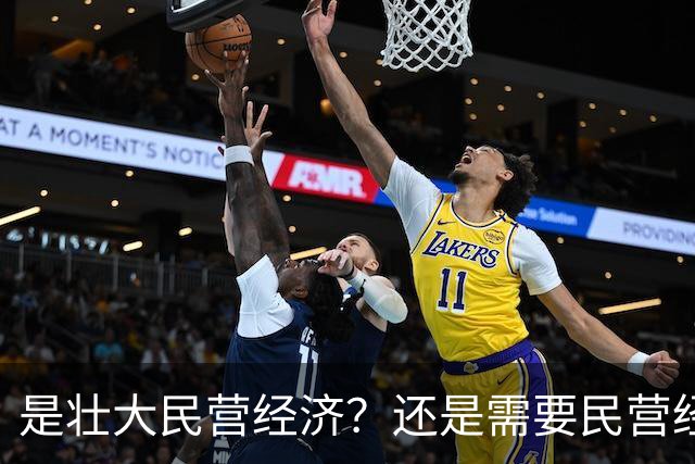 是壮大民营经济？还是需要民营经济？