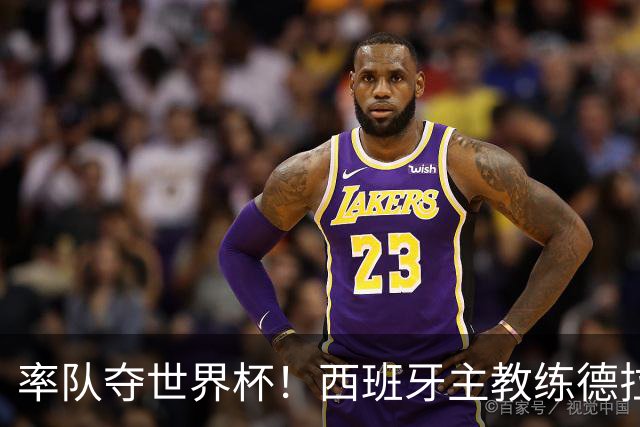 率队夺世界杯！西班牙主教练德拉富恩特获年度最佳主帅