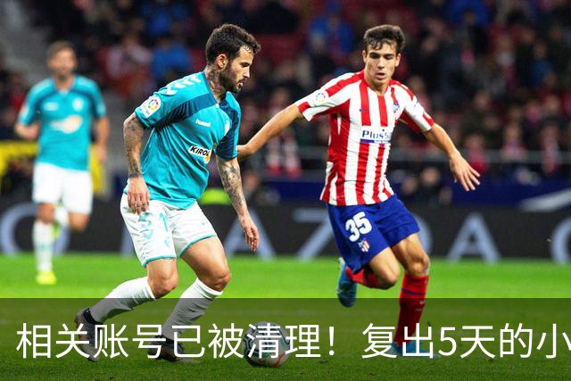 相关账号已被清理！复出5天的小杨哥，就撞上难堪一幕