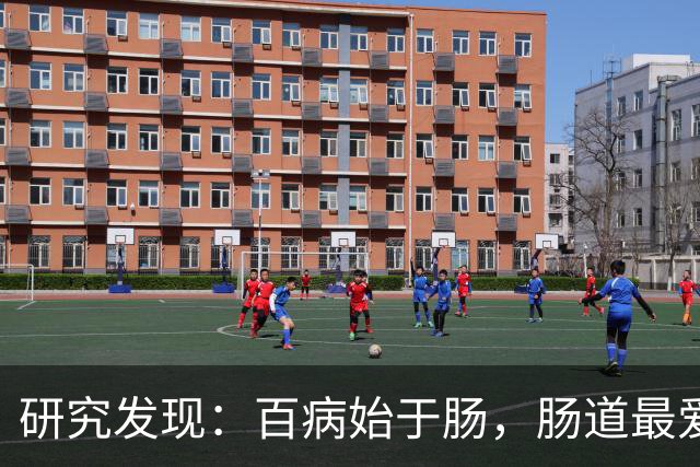 研究发现：百病始于肠，肠道最爱的5种食物，不要太节省