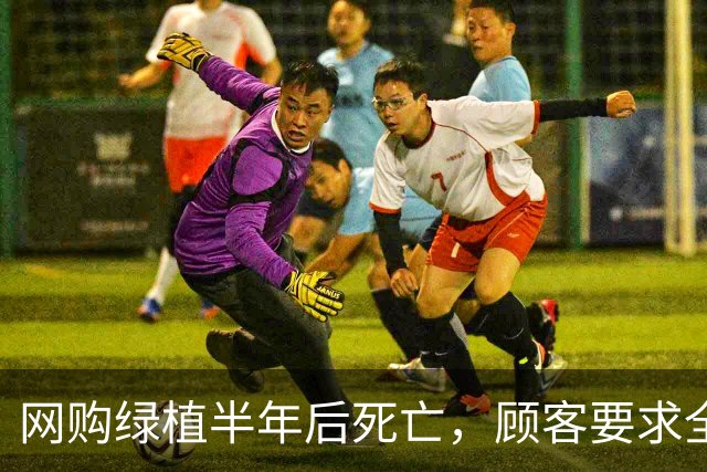 网购绿植半年后死亡，顾客要求全额退款，商家拒绝后被投诉到闭店并被告上法庭