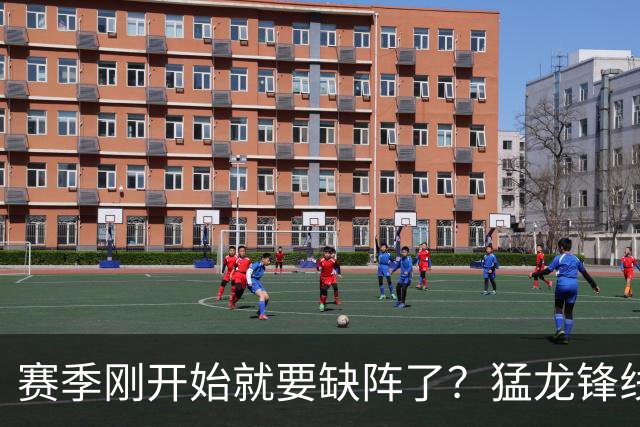 赛季刚开始就要缺阵了？猛龙锋线球星需要休战数周的时间？