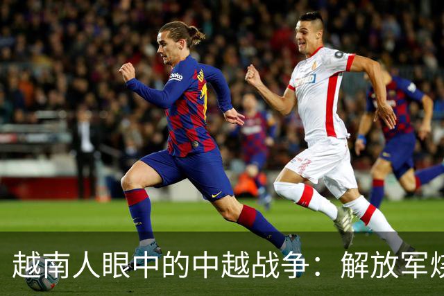 越南人眼中的中越战争：解放军烧杀抢掠，什么都要，真相究竟如何？