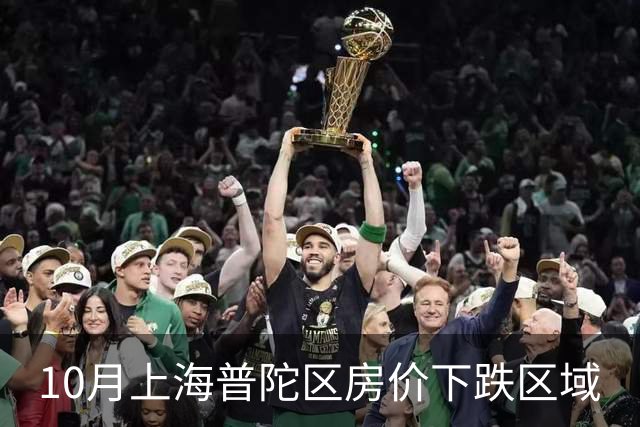 10月上海普陀区房价下跌区域